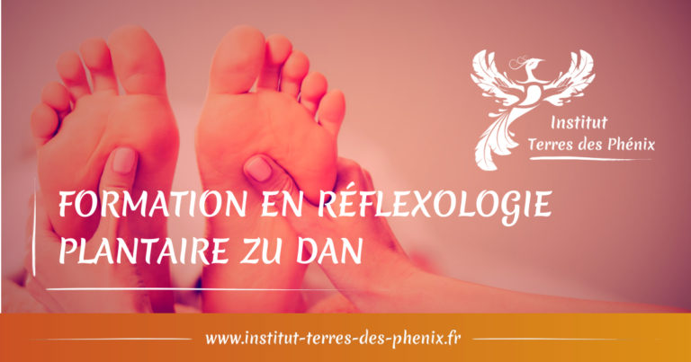 Réflexologie plantaire Zu Dan 1 1 768x403