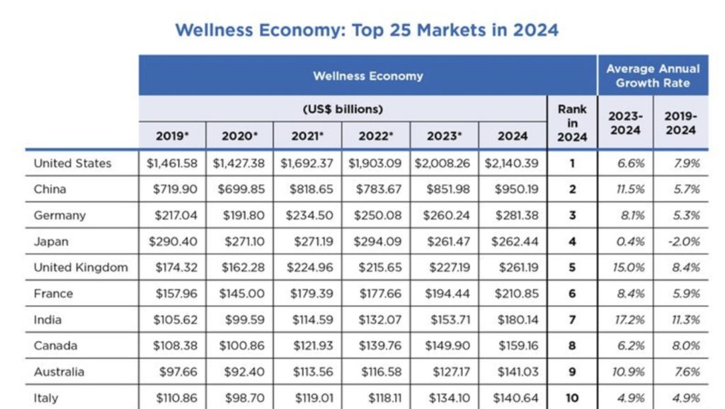 The Global Wellness Economy : Country Rankings (2019-2024)